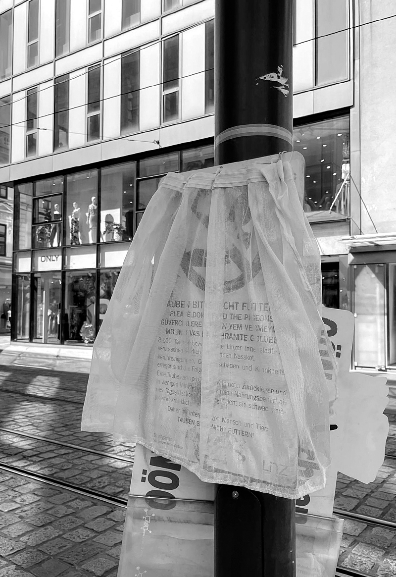 lera entmayr aktivismus fake news strassenschild lera entmayr aktivismus fake news strassenschild