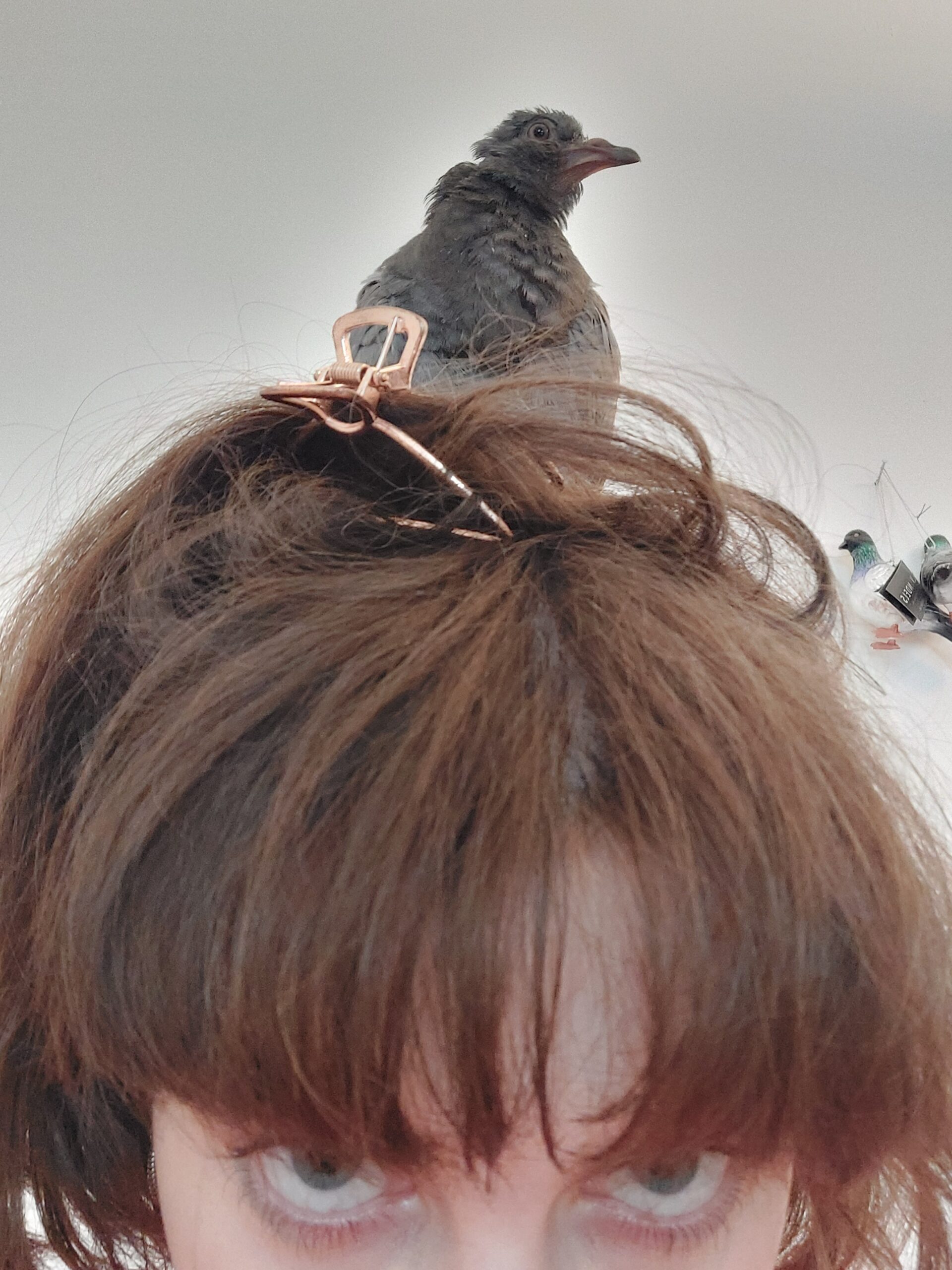 20241011 164618 scaled